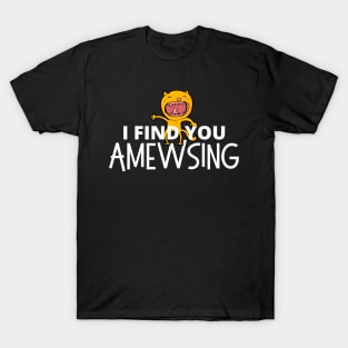 I Find You Amewsing T-Shirt